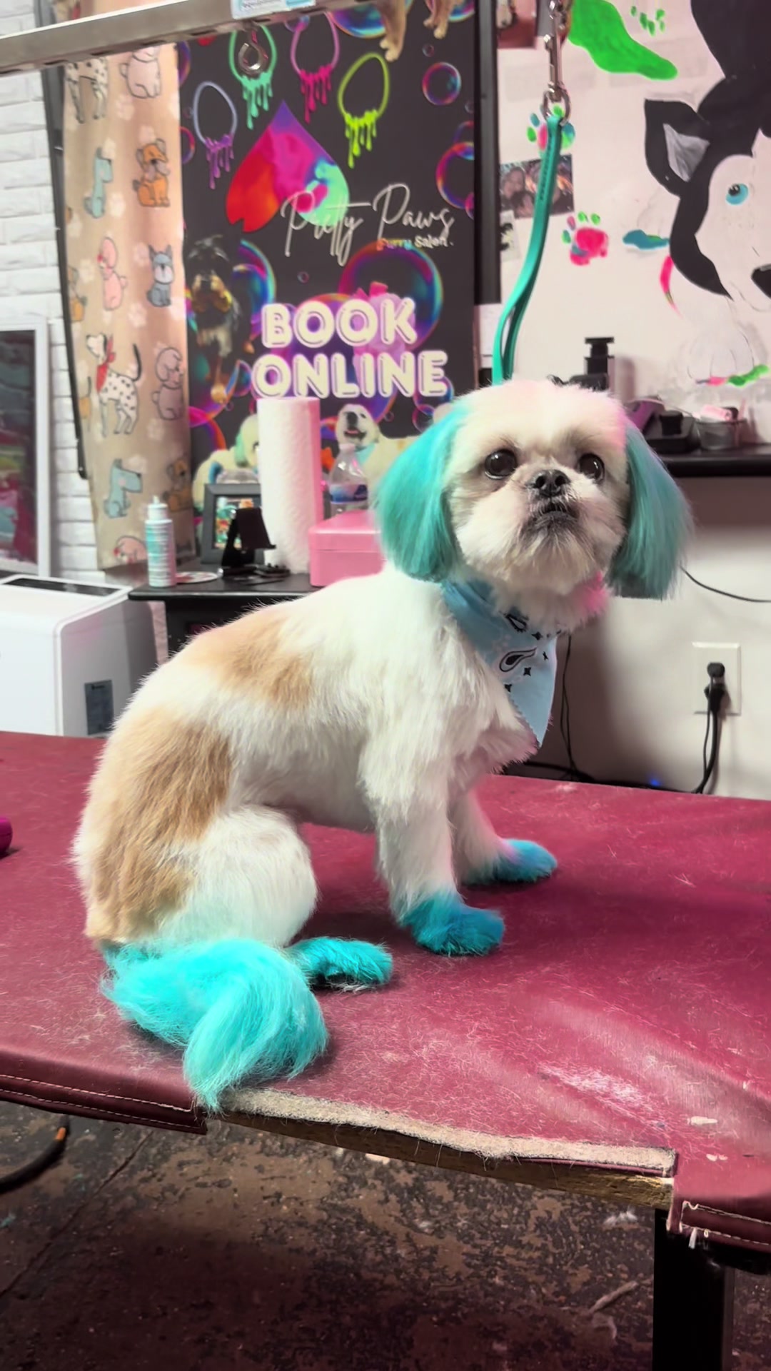 @PRETTY PAWS FURRY SALON🐾💜