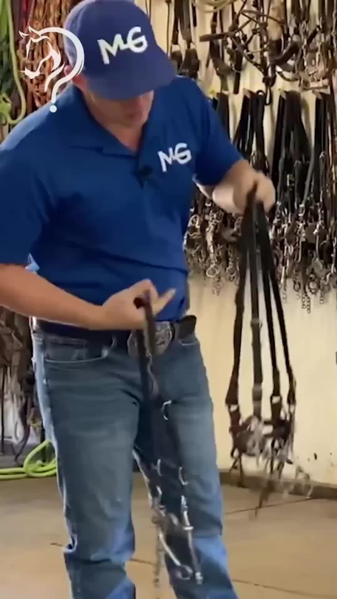 @Horse Help