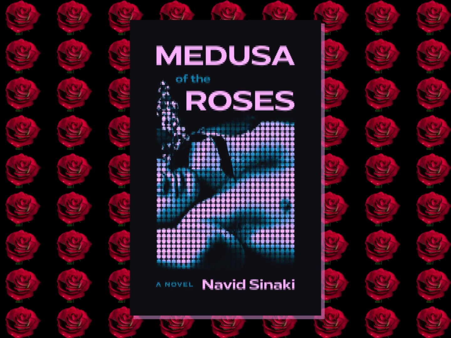 @navidsinaki