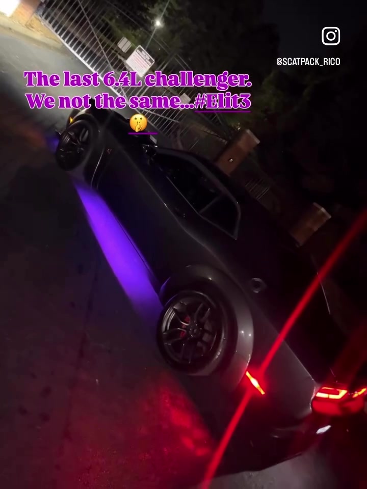 @scatpack_rico