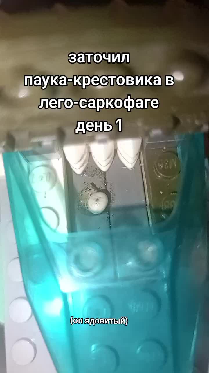 @на аве моя девушка мечты