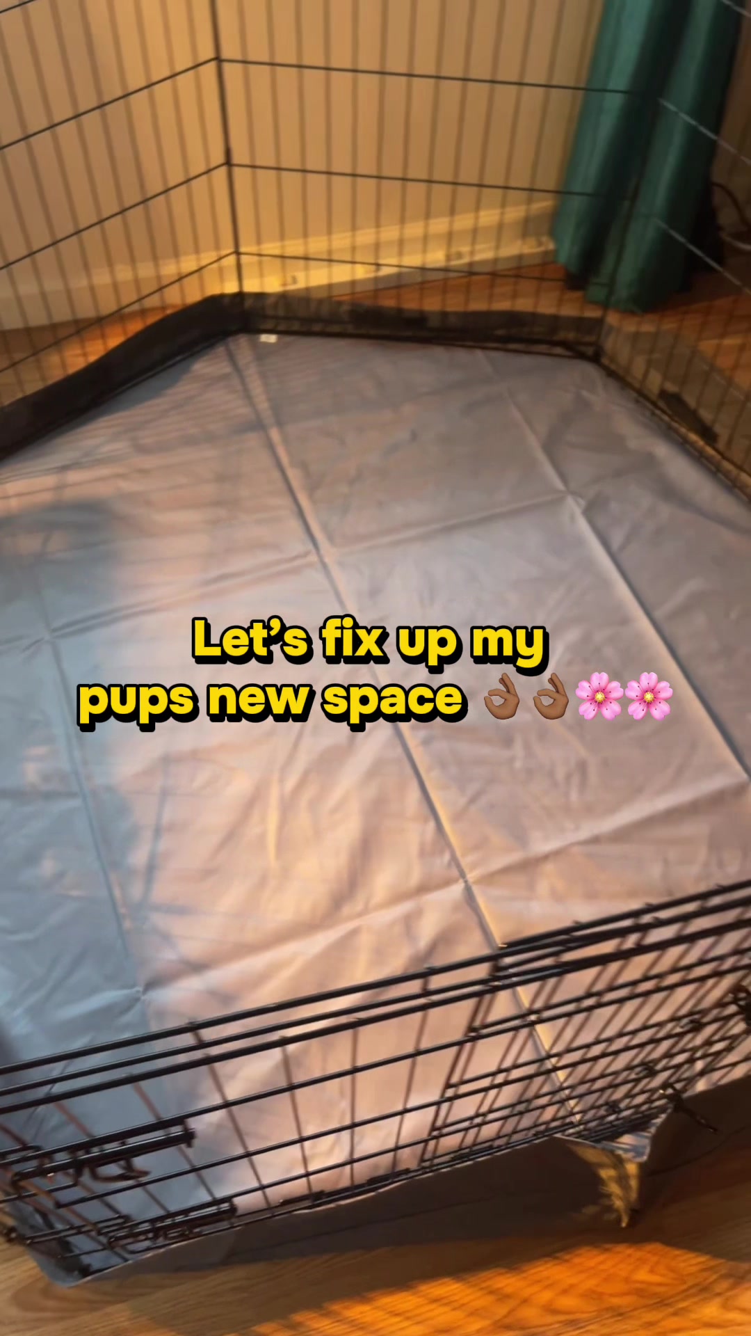 @gardnerkennel08