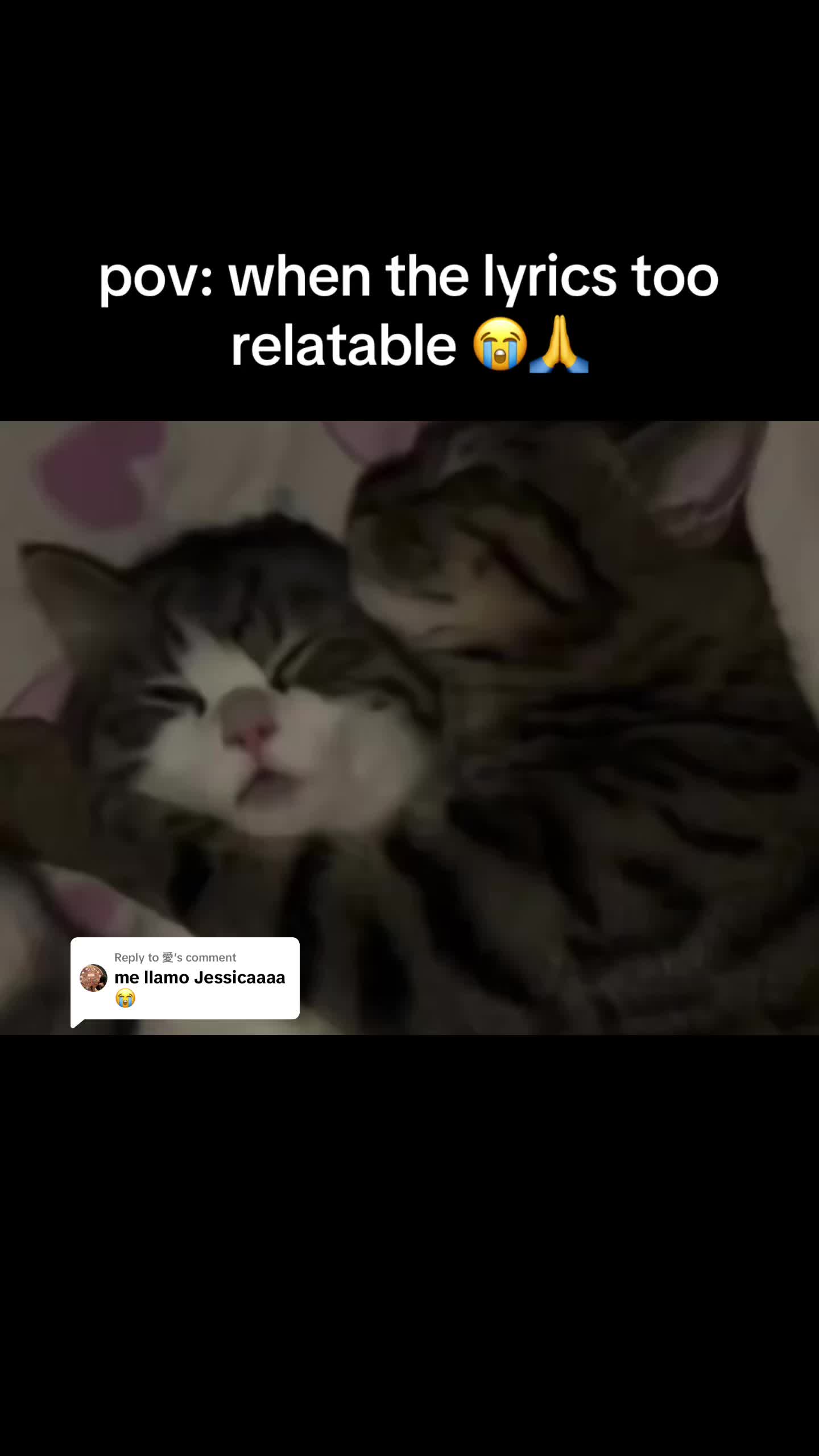 @ze66y
