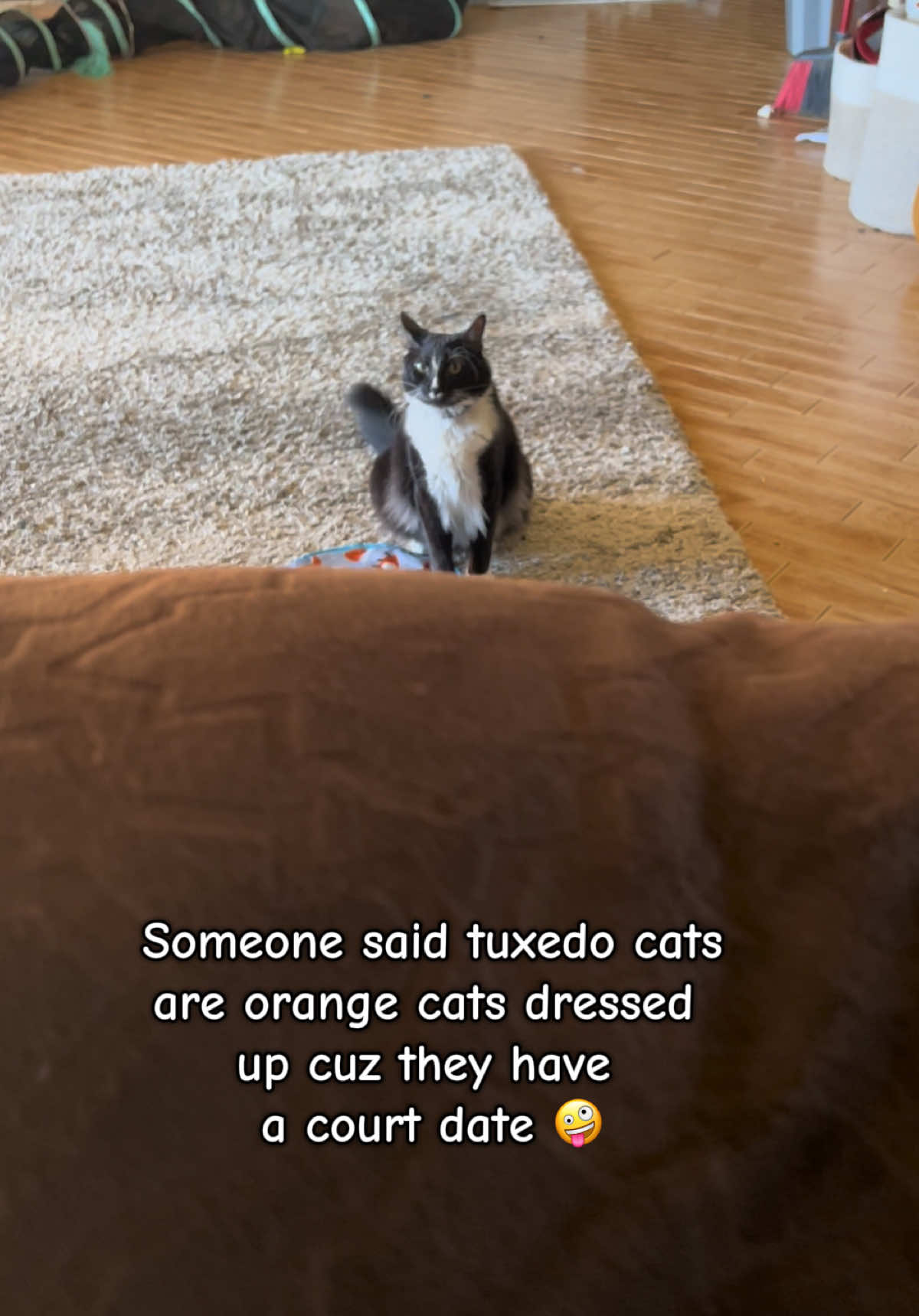 @presleythetuxie