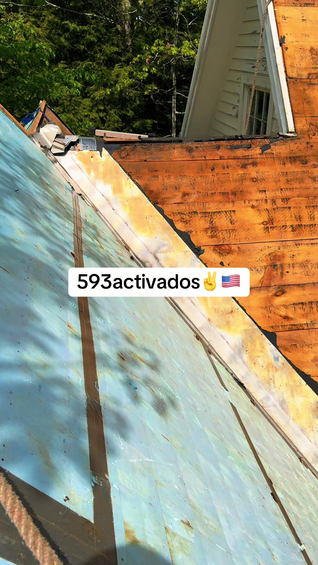 @ օʀȶɨʐ-593♪✩🇪🇨
