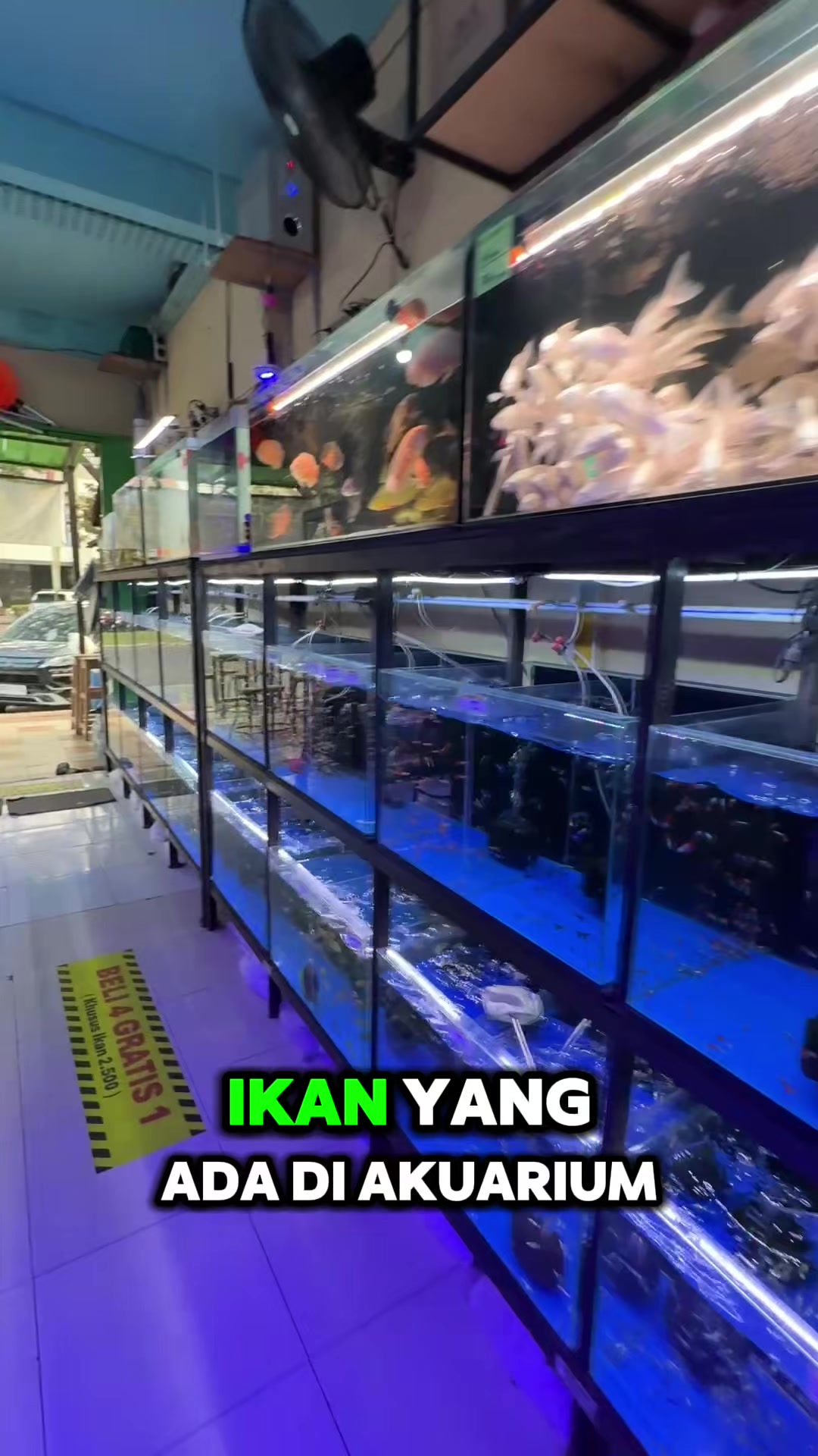 @Aquatic Garage Bekasi