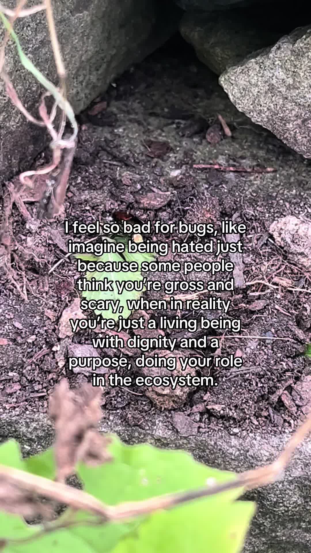 @environmentalist bro