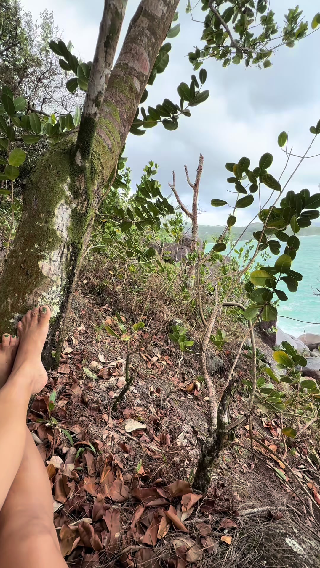 @Sabrina 🌴 Seychelles Life