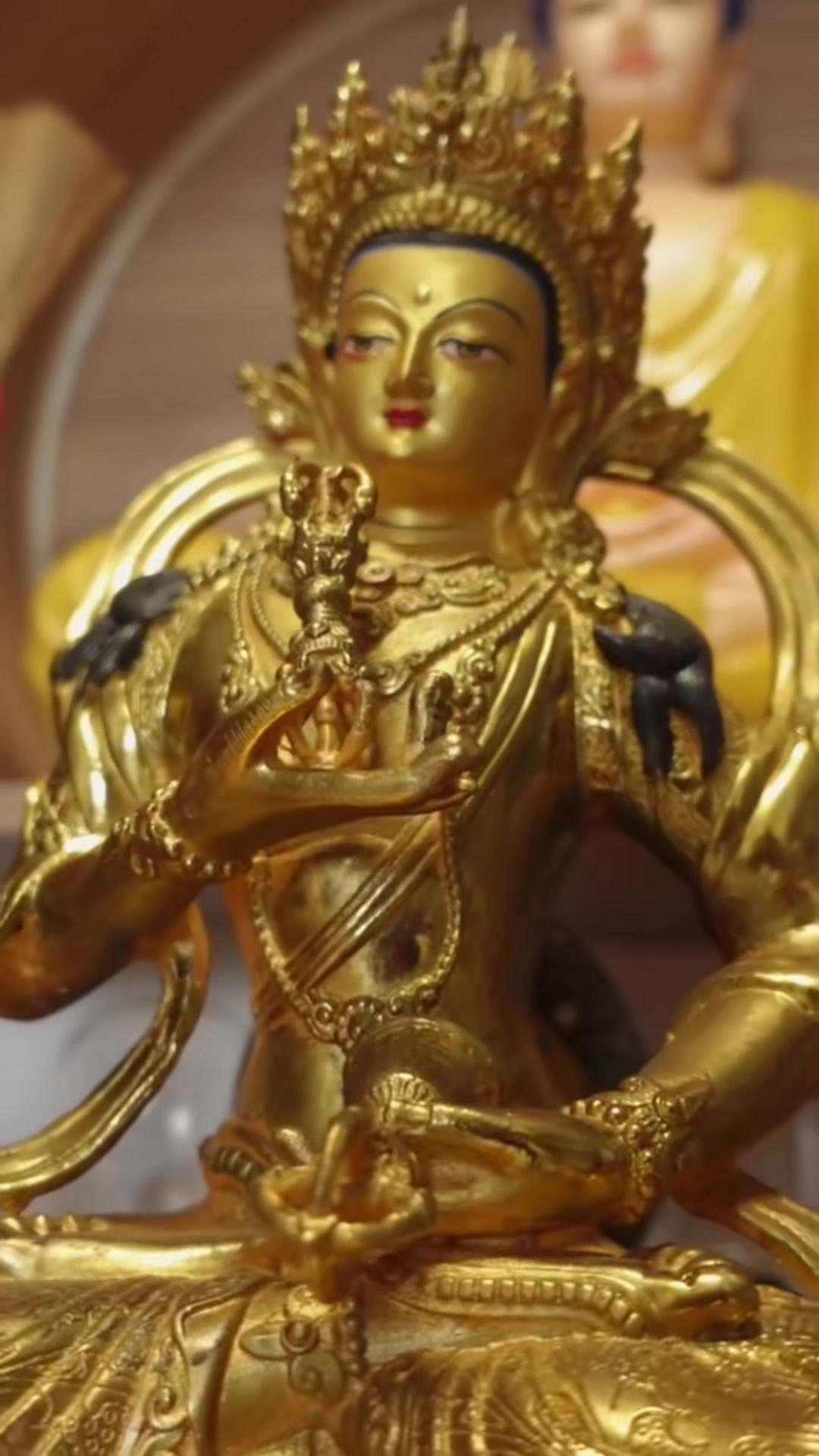 @Mật Tạng V&otilde; Gia
