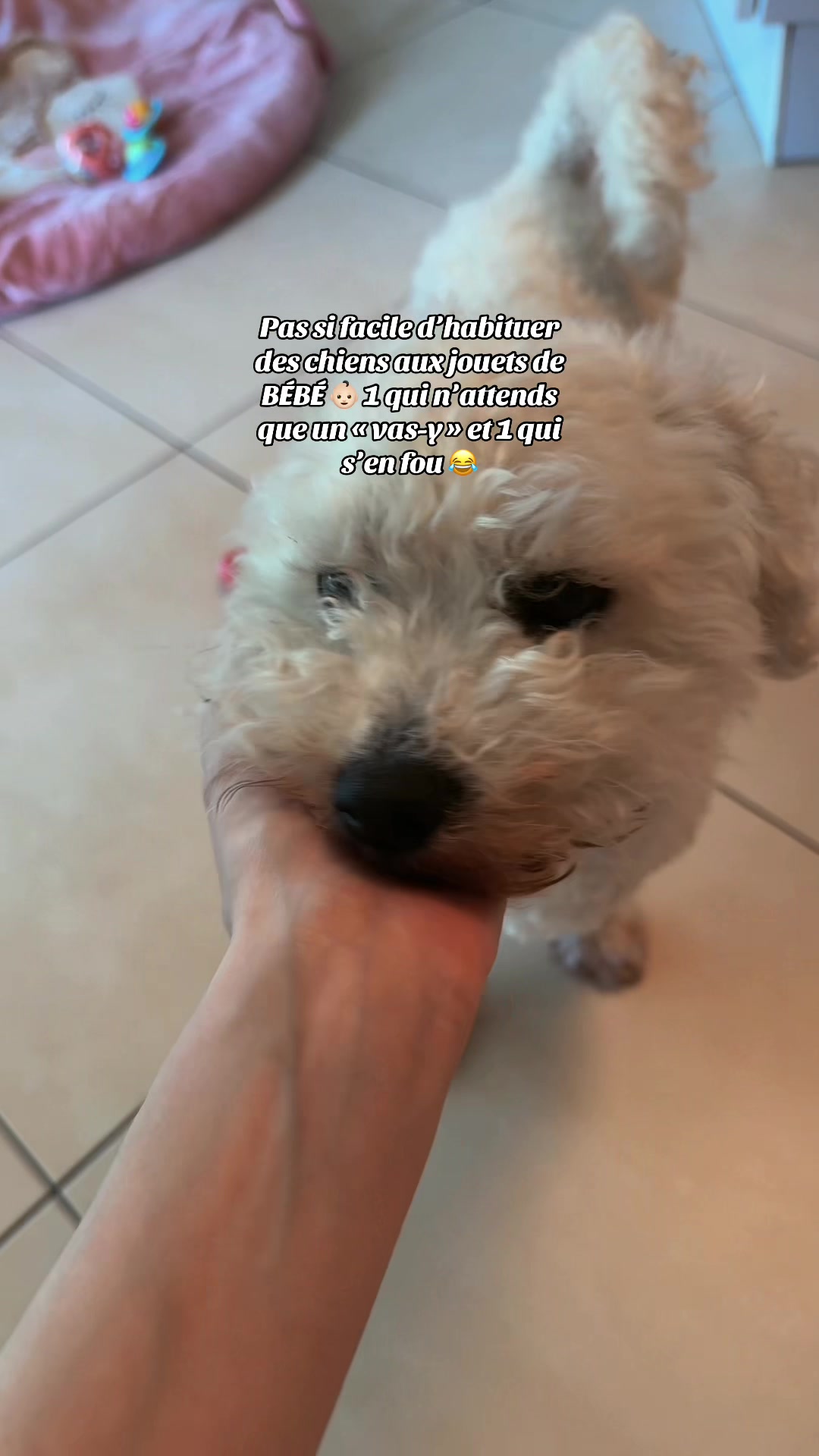 @๐ด๐๐๐ ๐ซ๐๐๐๐๐๐
