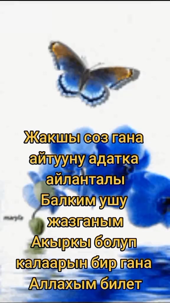 @BERMETIC