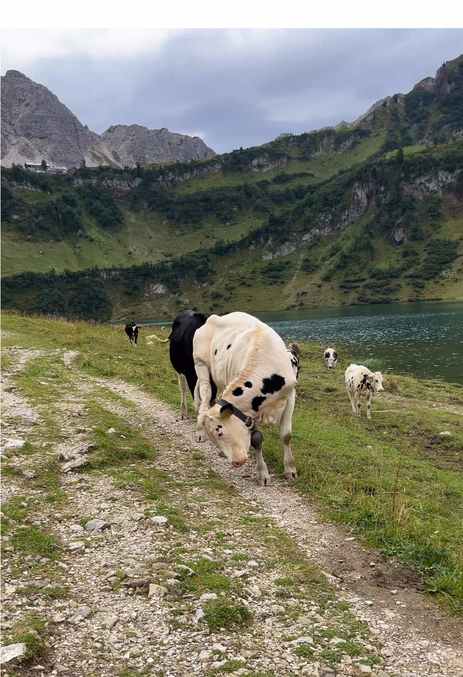 @Domi Ebner | Hiking & Outdoor