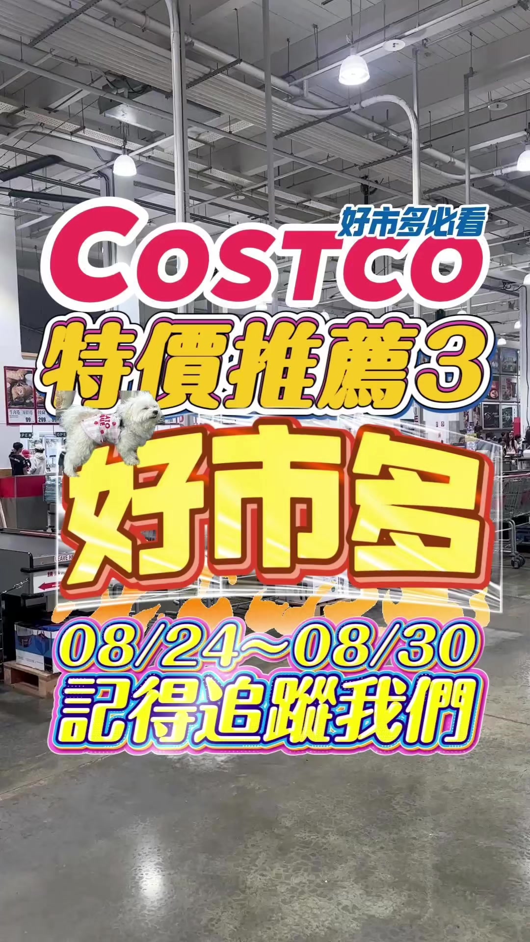 @Youtube搜尋🔍可可酒精