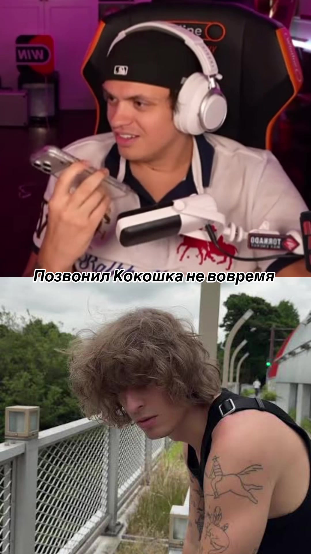 @Твич и Точка