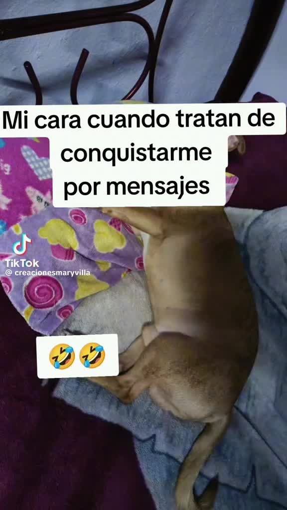 @Alma Martinez❌️