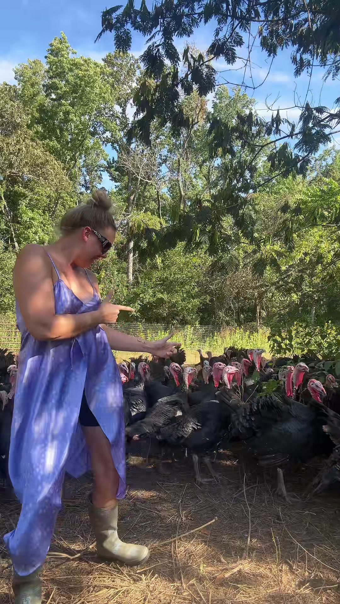 @farmerandtheharpiist