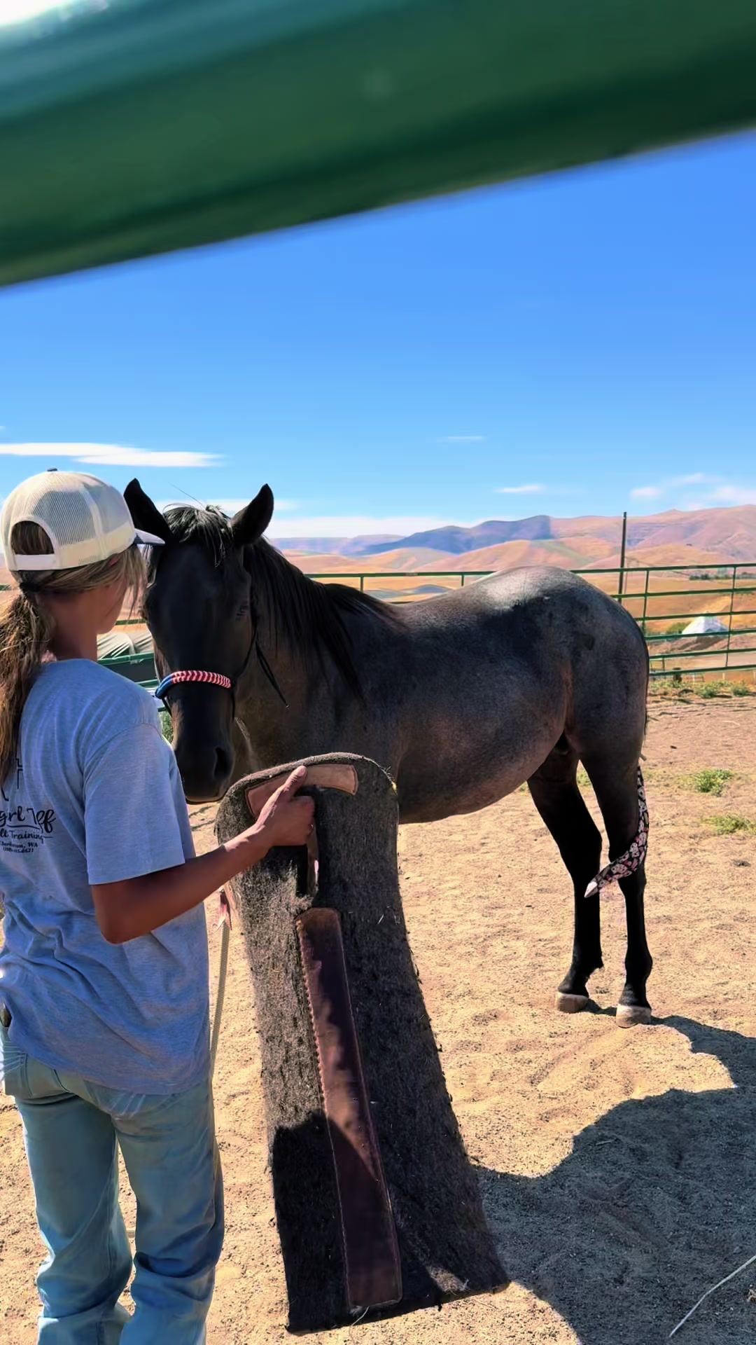 @Cowgirl Tuff Colt Training ❤️