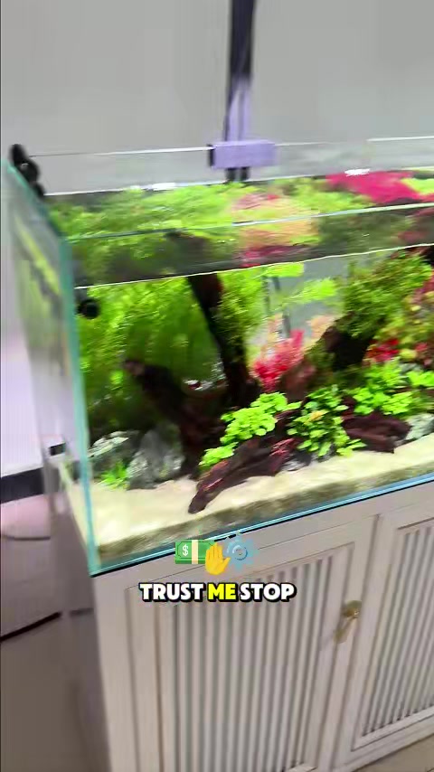 @AQQA Aquarium Store