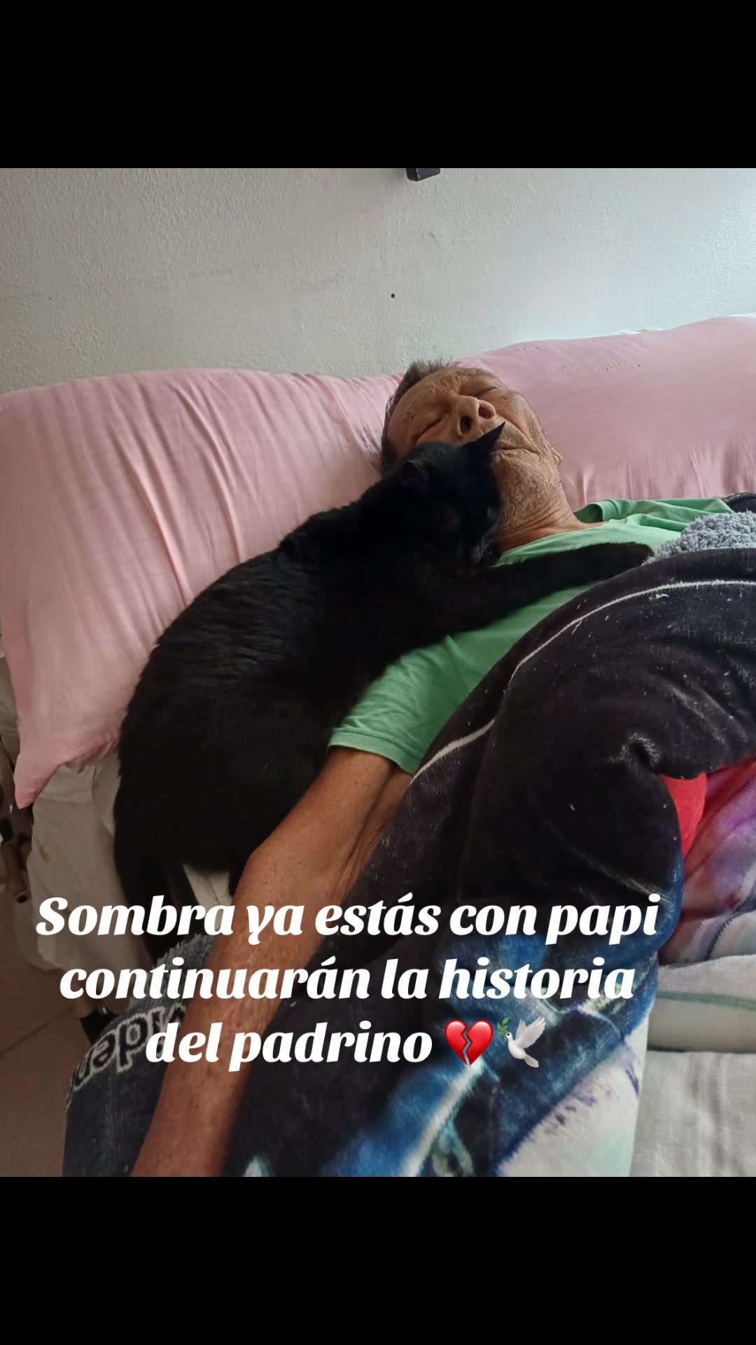 @Negris Alvarez