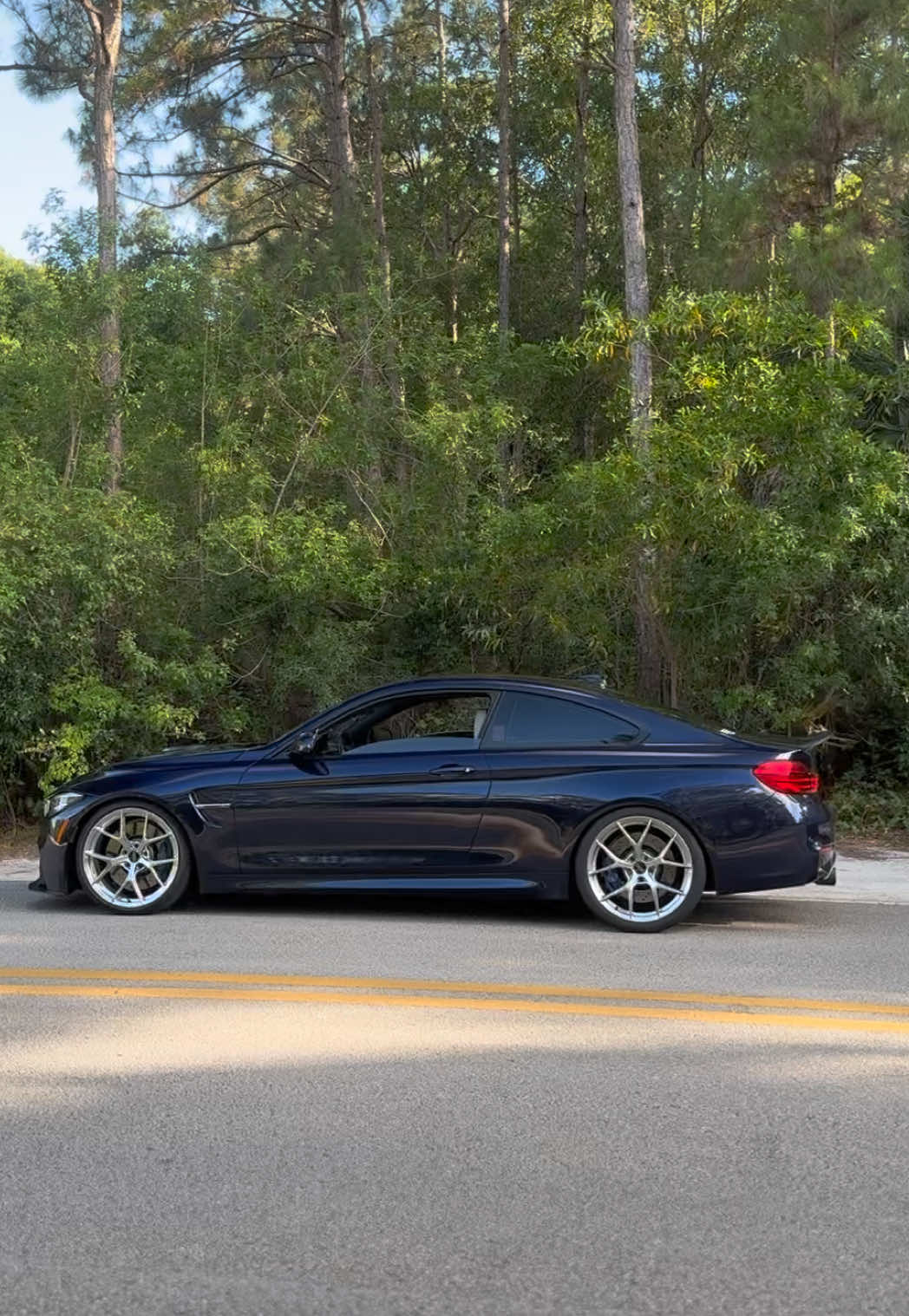 @m4rphy