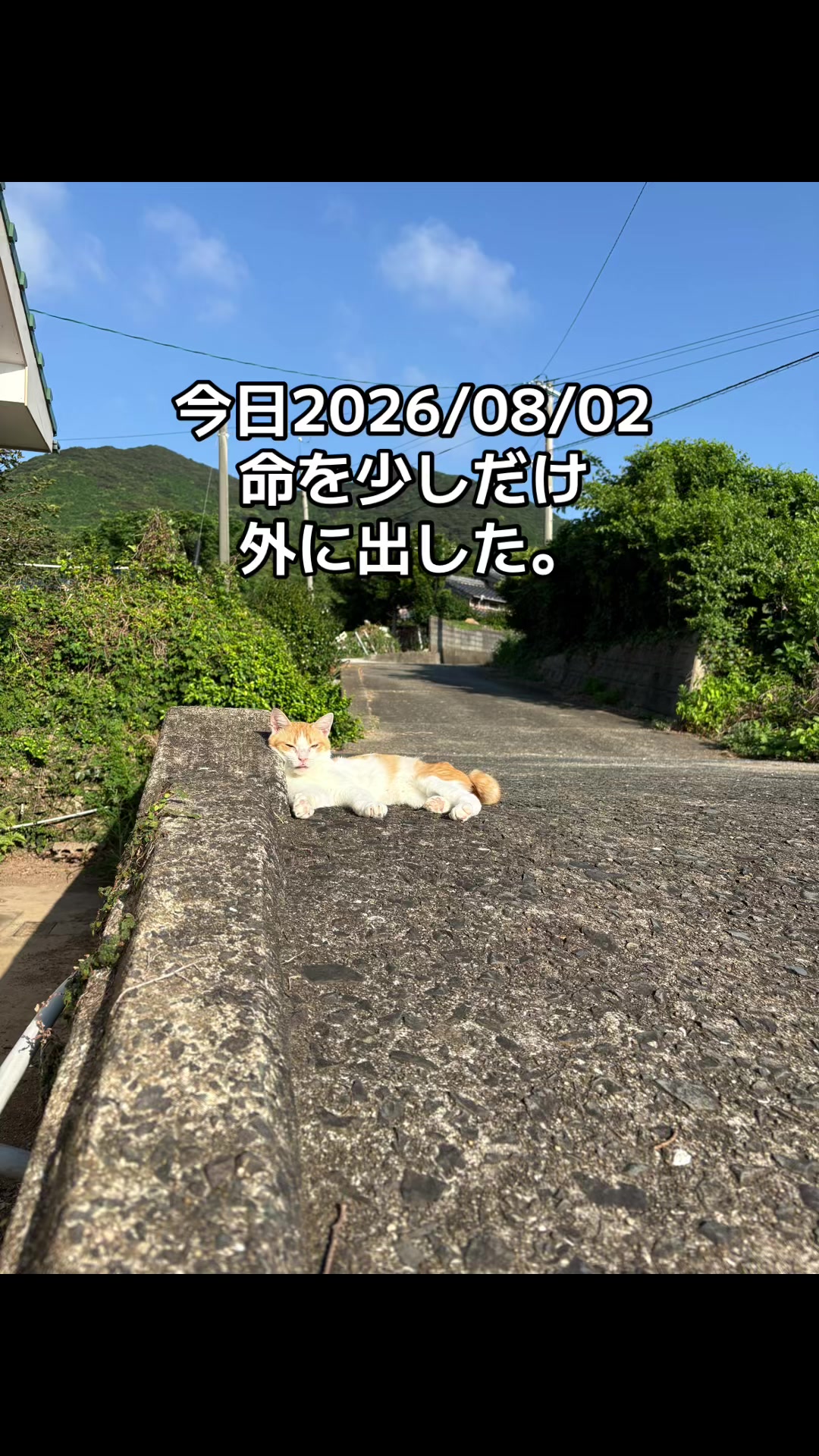 @ブルースカイの倫