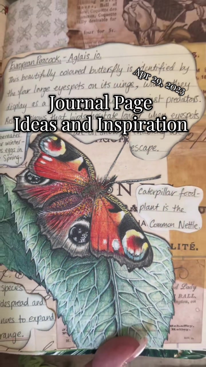 @Journal with Jess