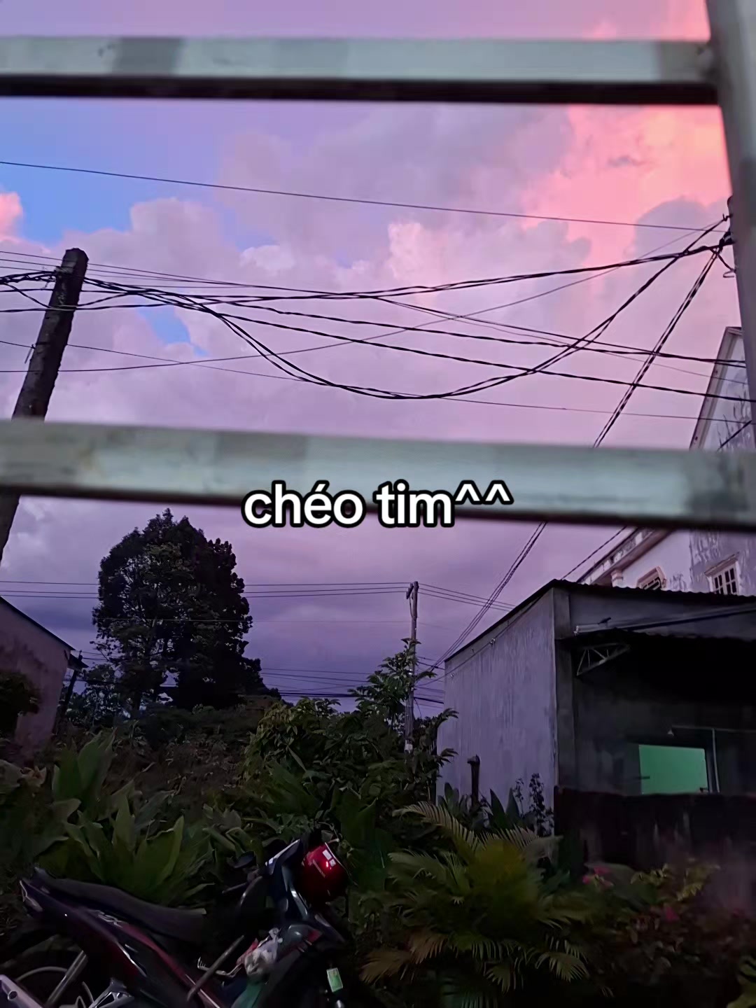 @titt.