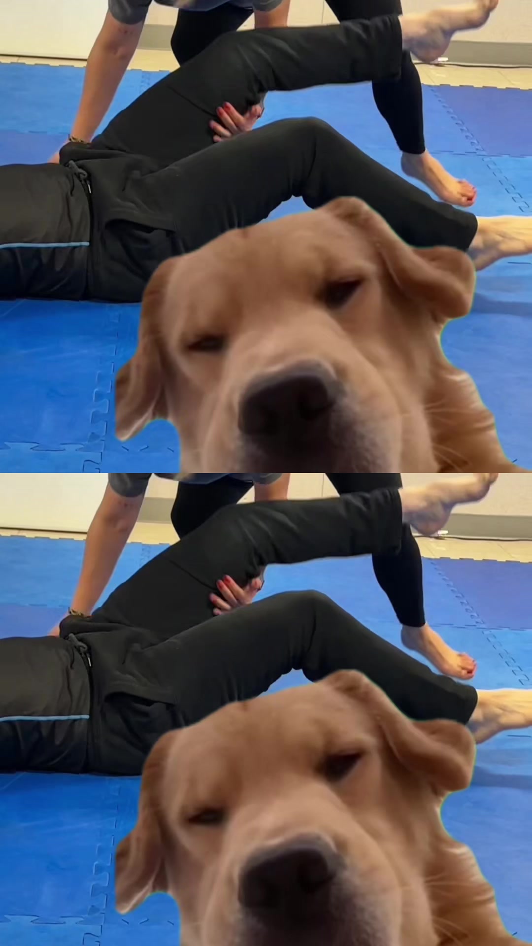 @The Mat Martial Arts & Fitness