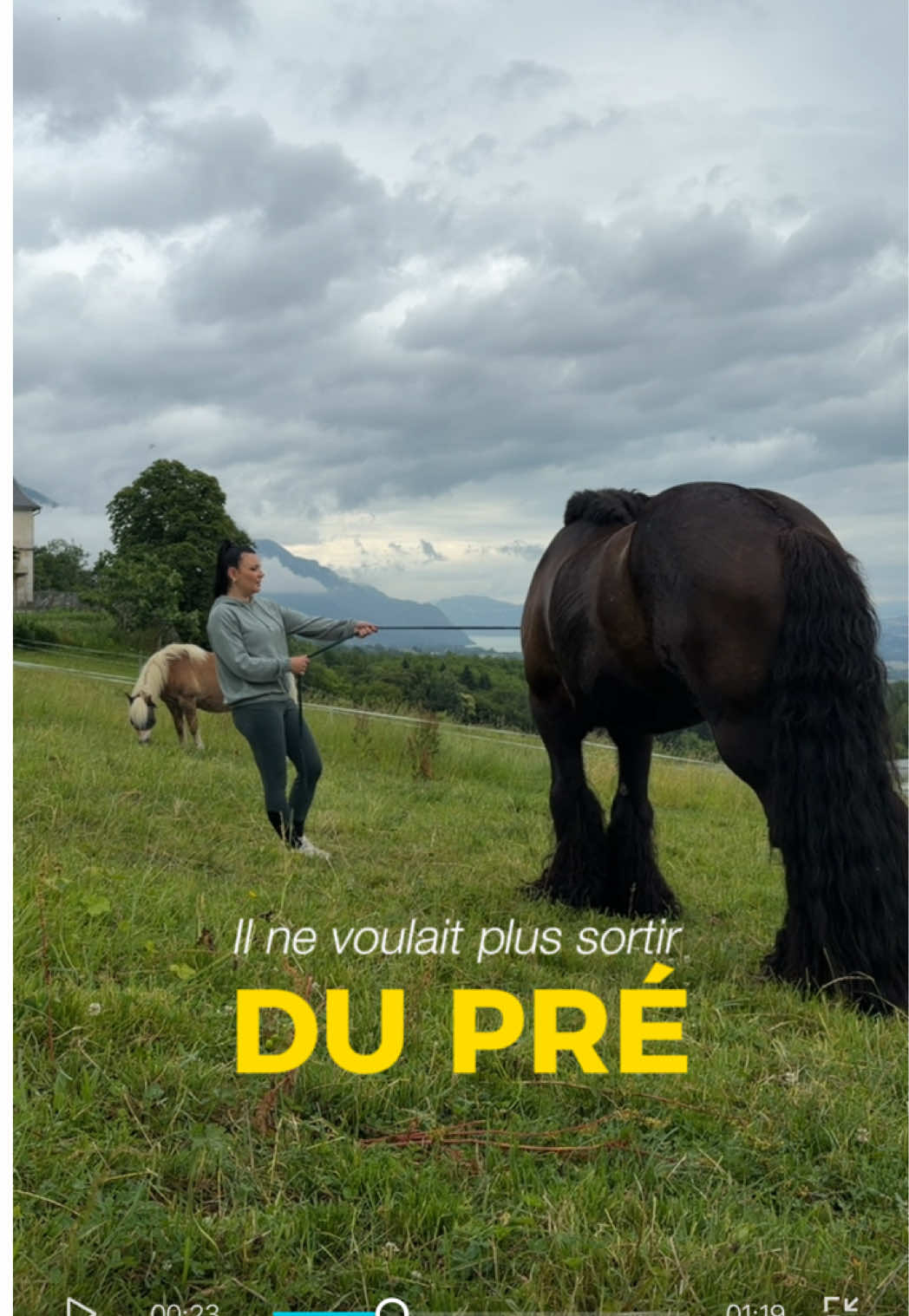 @Untraitdecheval