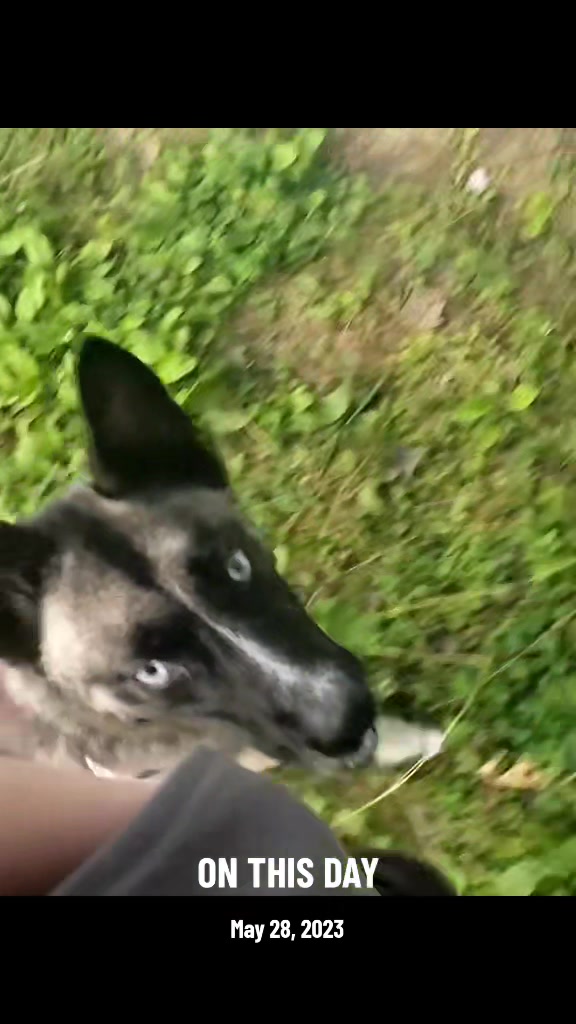@🪓🐾🪓