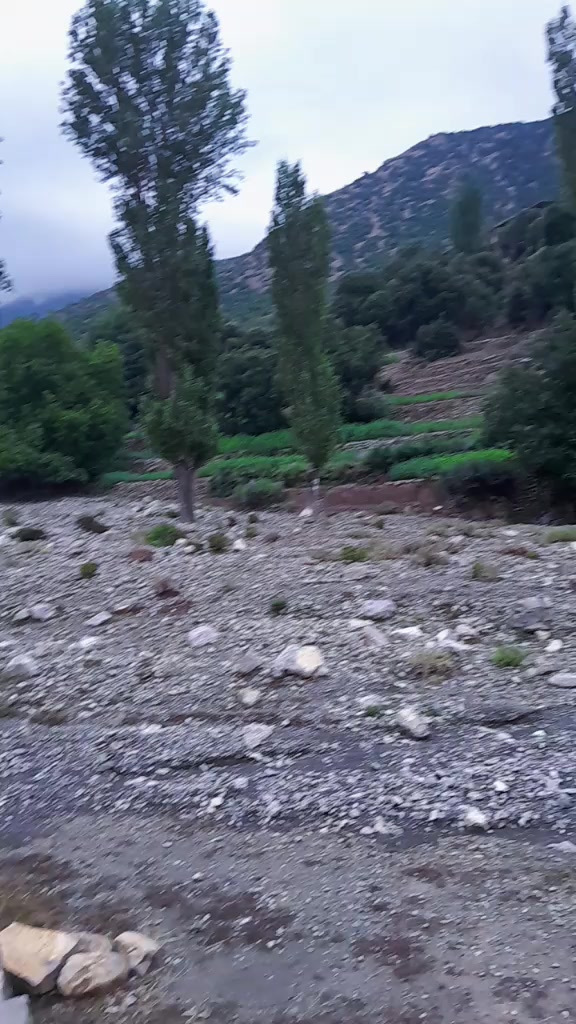 @Musam Khan479