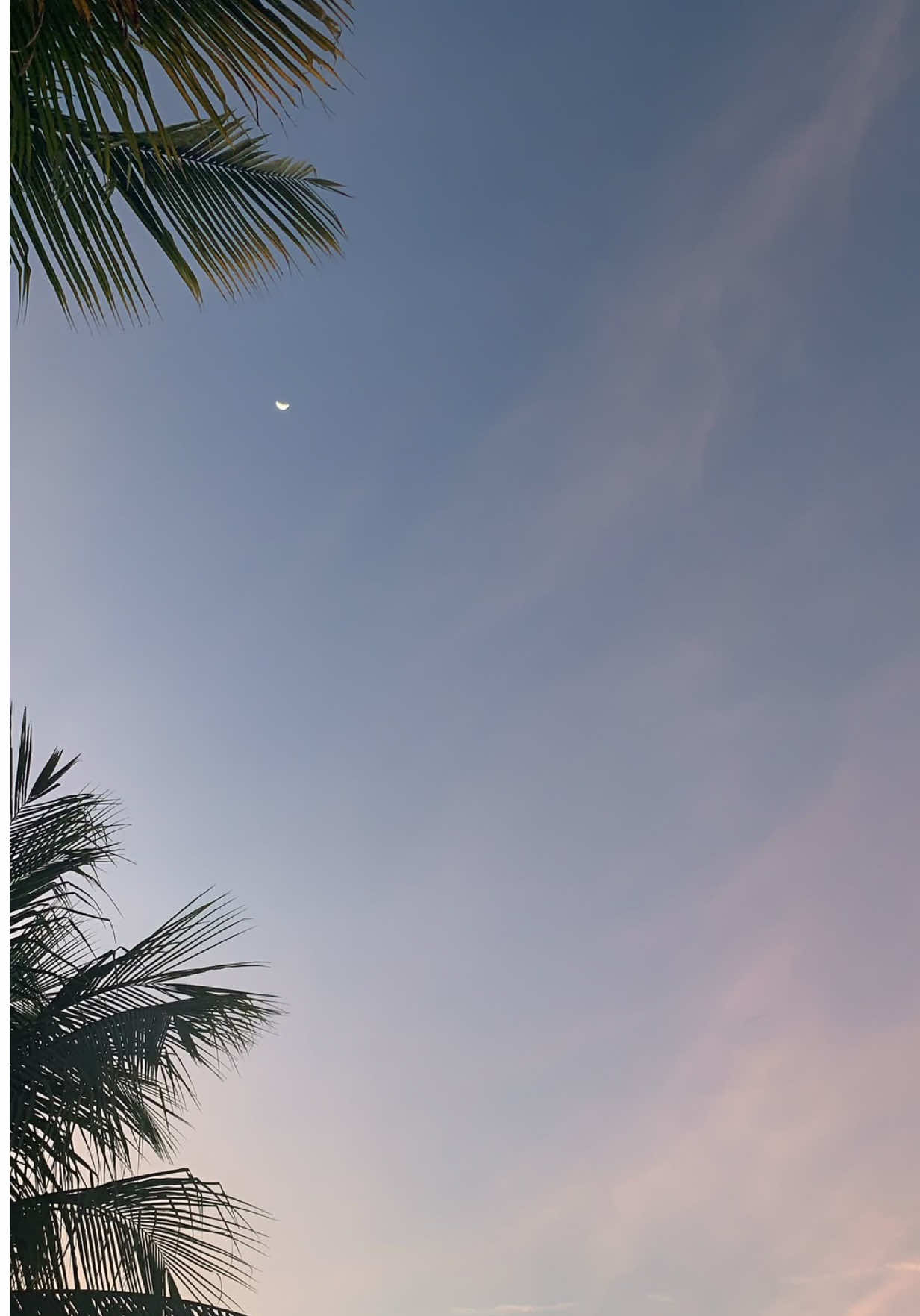 @🌺Travel Content🌴