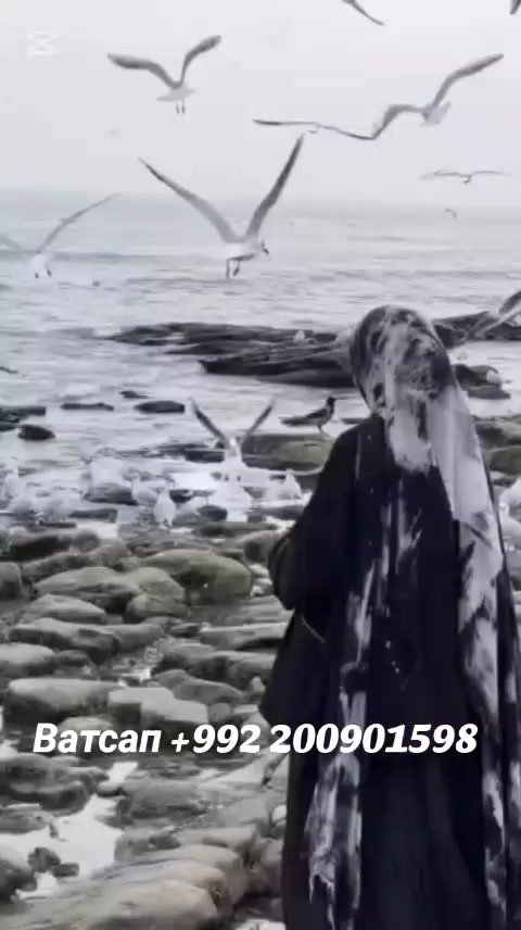 @🧕🧕