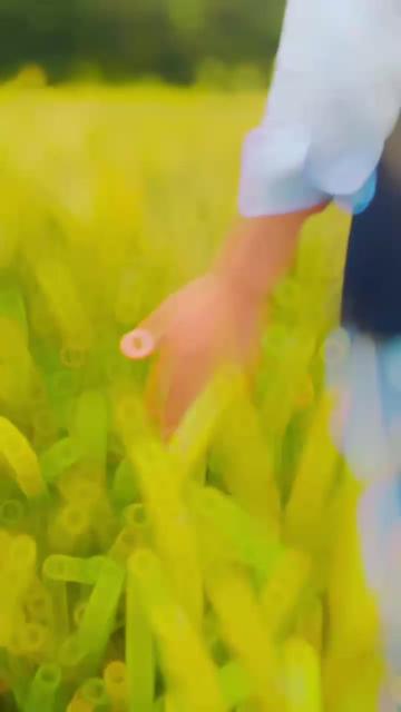 @𝙃𝘼𝙍𝙊𝙊𝙉