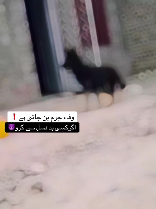 @🔥MĪR_NŌMĀN_RAĪSANĪ🔥