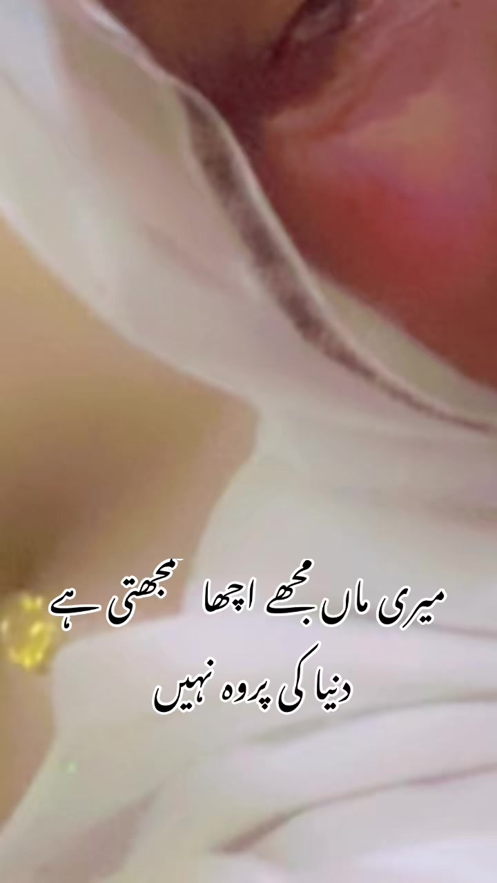 @foji sajjad