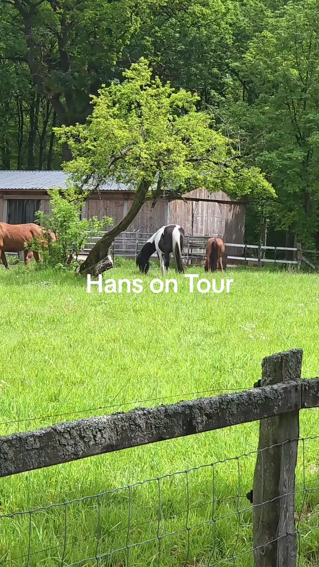 @Hans