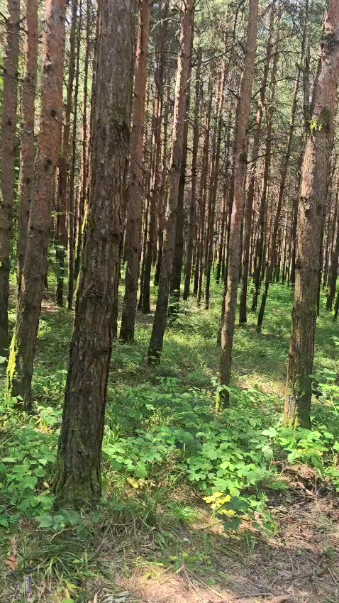 @Мурват Юсифов