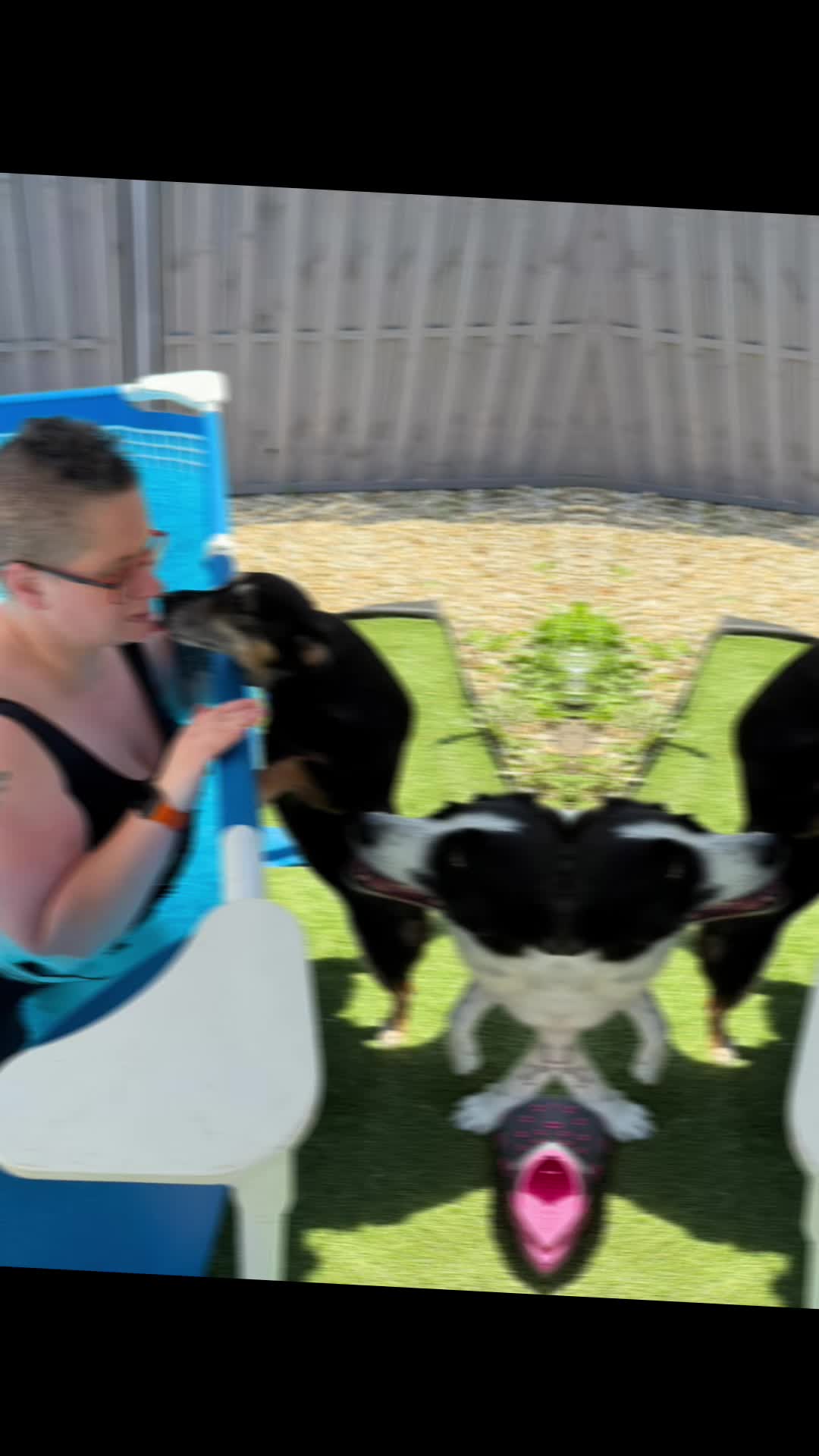 @PfotenwegeMitRoxy🐶