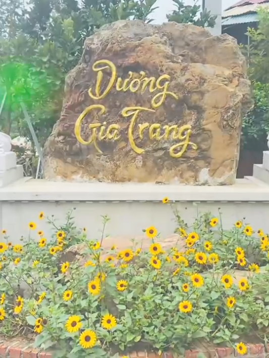 @T.Nga