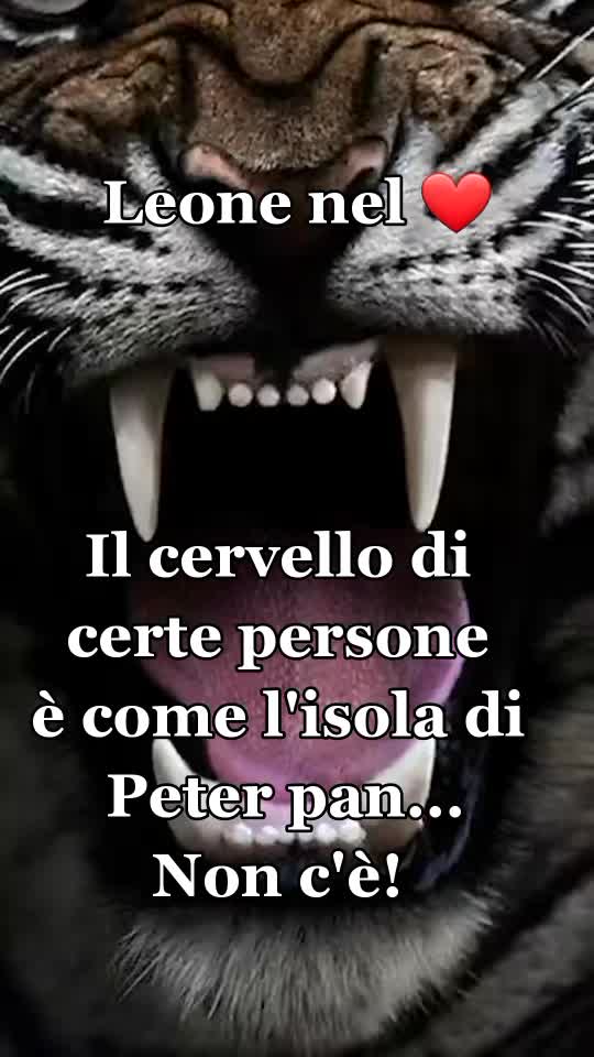 @leone nel ❤