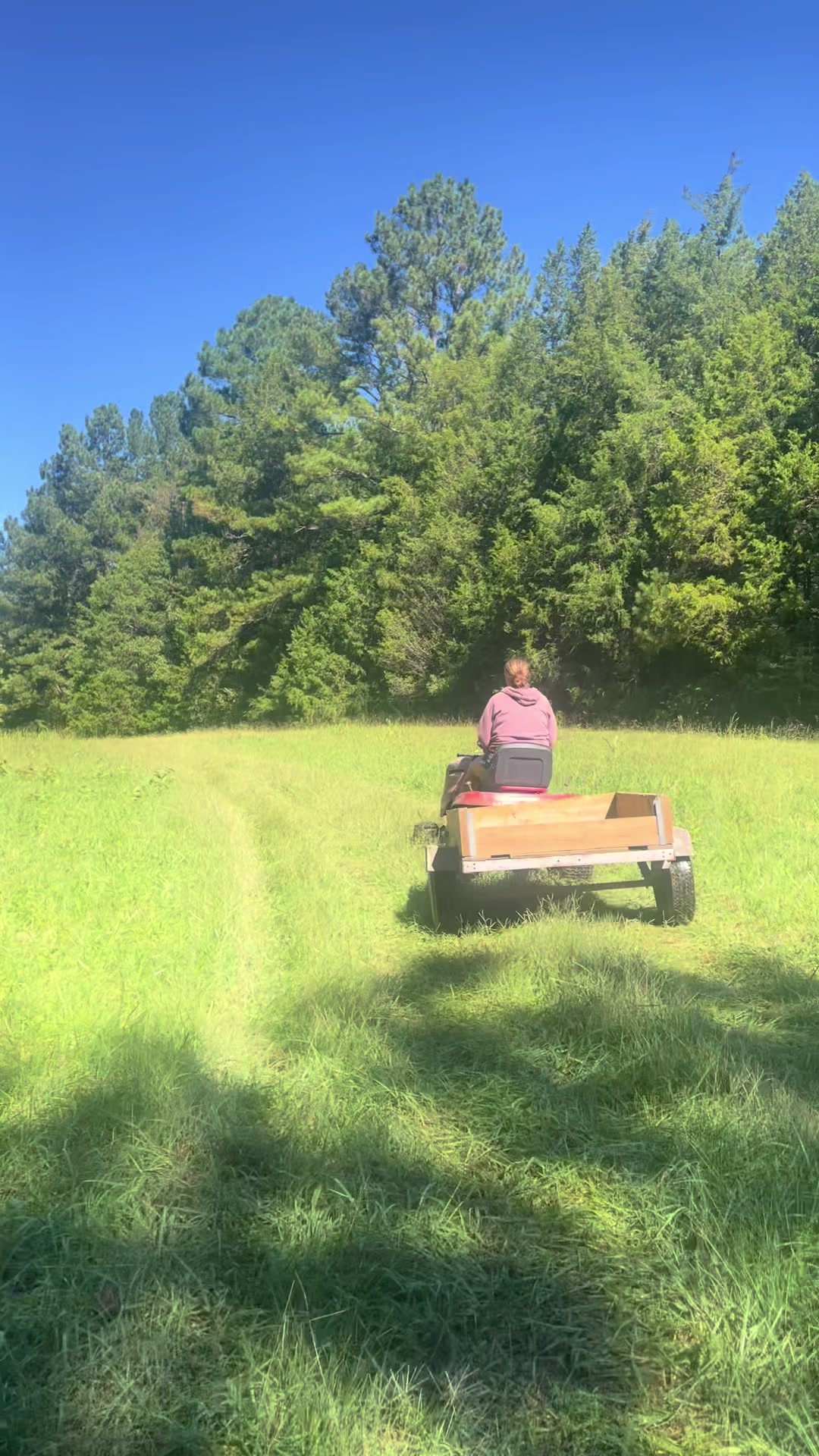 @Gray Acres Homestead