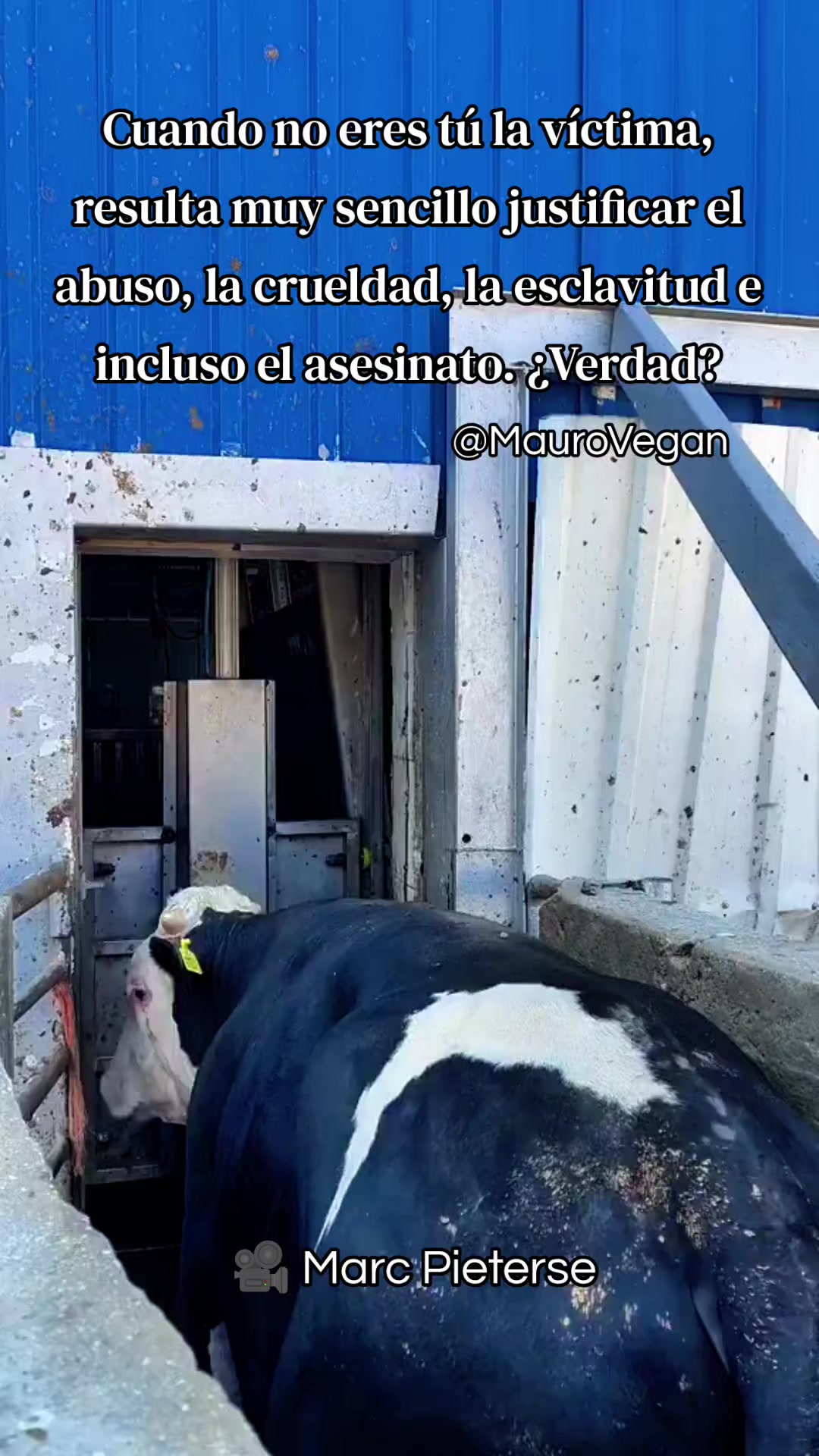 @Mauro Vegan๐