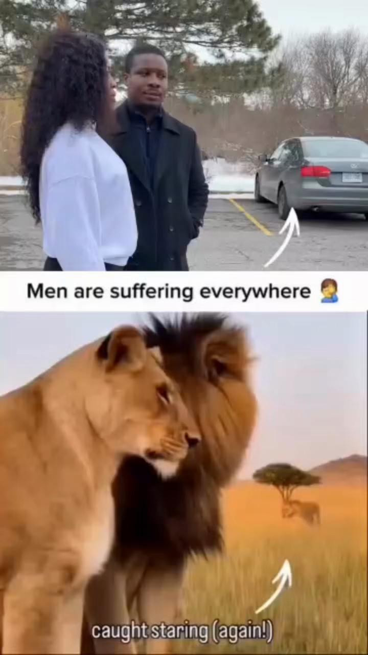 @Pzamani