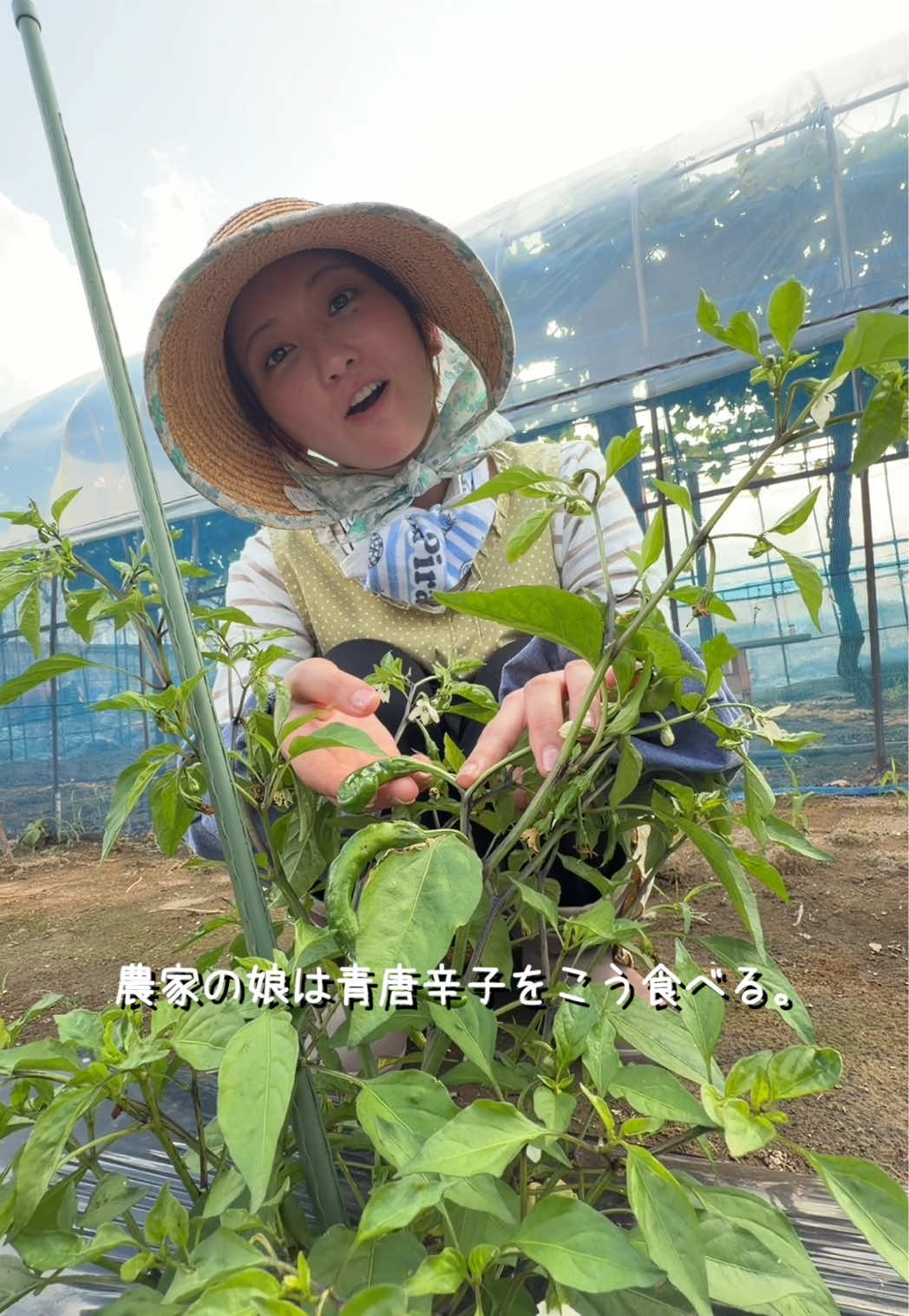 @こぴ