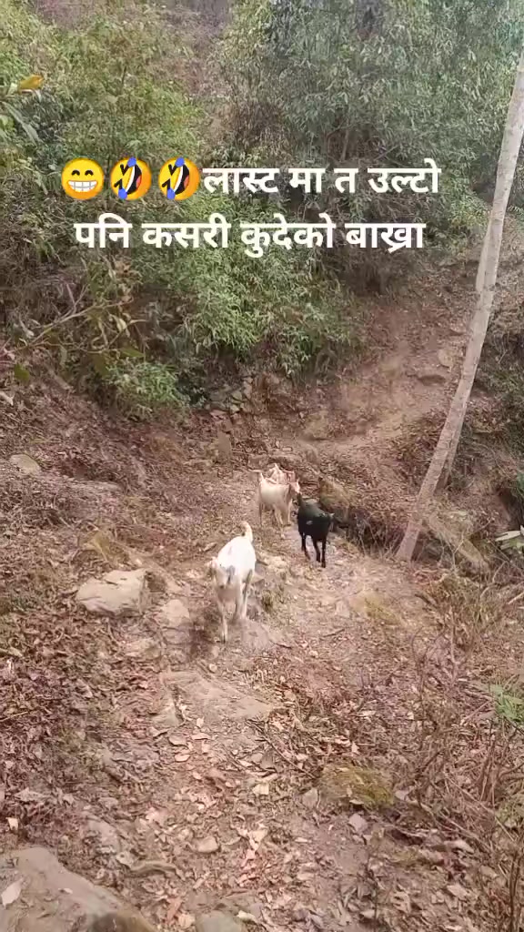 @Gyawali Thakur 🇳🇵🎌