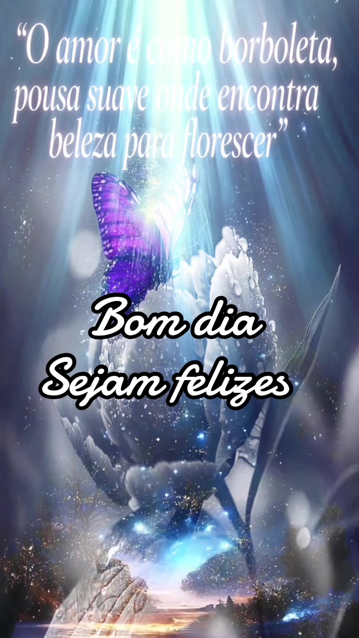 @borboleta2867