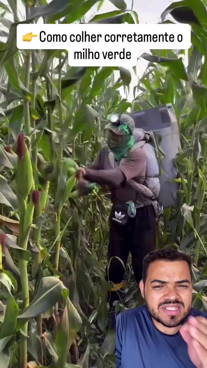 @Obrasilense