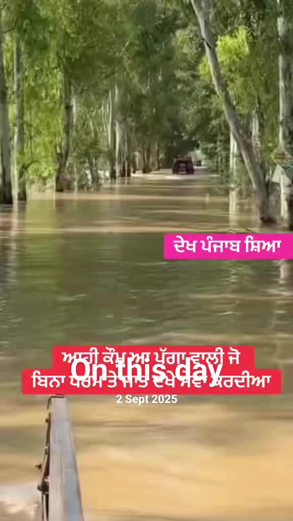 @sahib bal