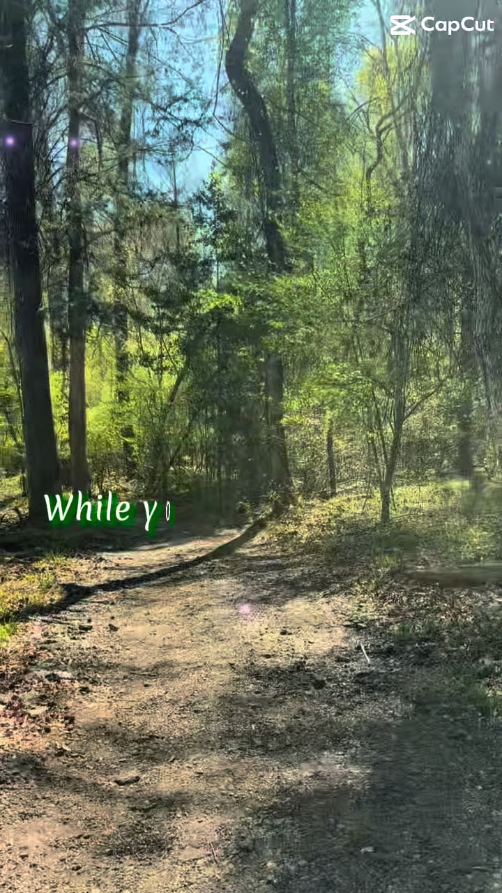 @ImKimmy